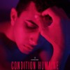 Condition humaine / The Human Condition