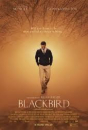 Blackbird  ()