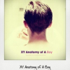 XY Anatomy of a Boy  ()