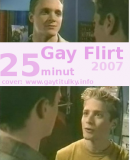 Gay Flirt  (2007)