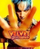 Velvet Goldmine / Sametová extáze  (1998)