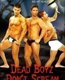 Dead Boyz Don&#039;t Scream  (2006)