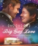 big gay love portada.jpg