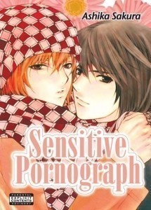 Sensitive Pornograph  (2004)