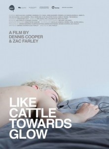 Like Cattle Towards Glow  (2015)