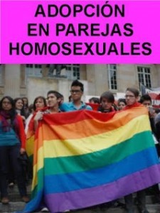 Adopción en parejas homosexuales  (2013)