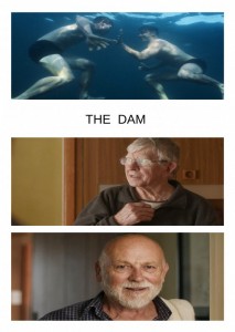 The Dam  (2016)