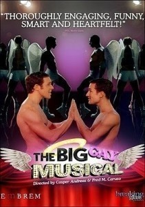 The Big Gay Musical   (2009)