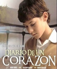 Diario de un corazón.jpg