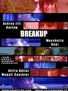 Breakup  (2009)