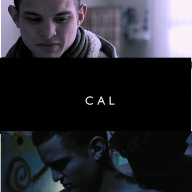 Cal  (2013)