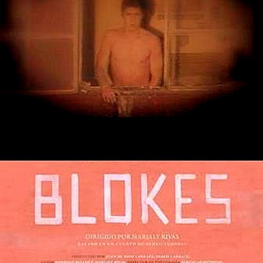 Blokes / Paneláky  (2010)