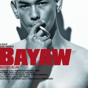 Bayaw / Brothers in Law  (2009)