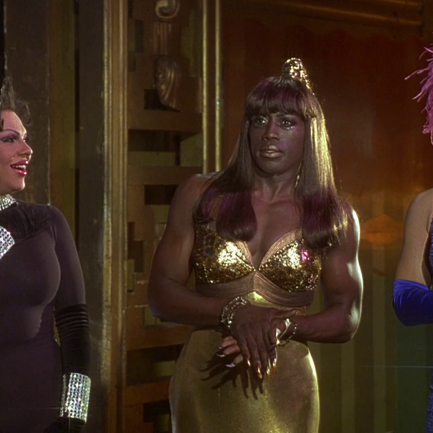 To Wong Foo, Thanks for Everything! Julie Newmar / Tři muži v negližé  (1995)