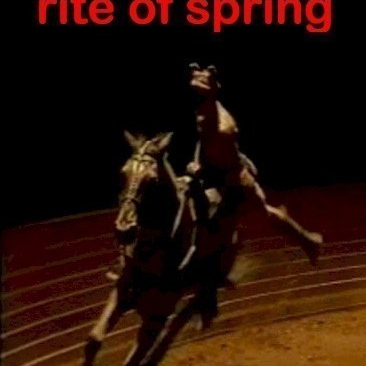 The Rite of Spring  (2000)