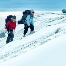 Fjellet / The Mountain / Hora  (2011)