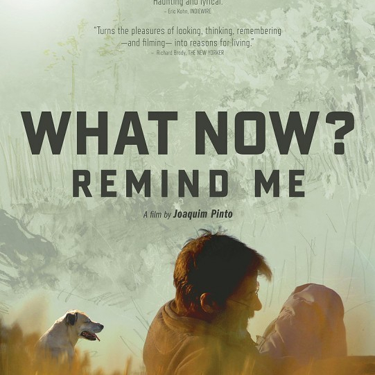 E agora? Lembra-me / What Now? Remind Me  (2013)