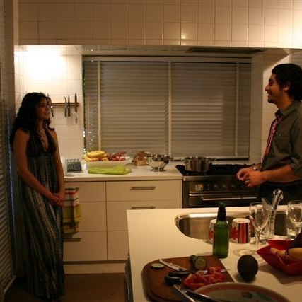 Housemates  (2009)