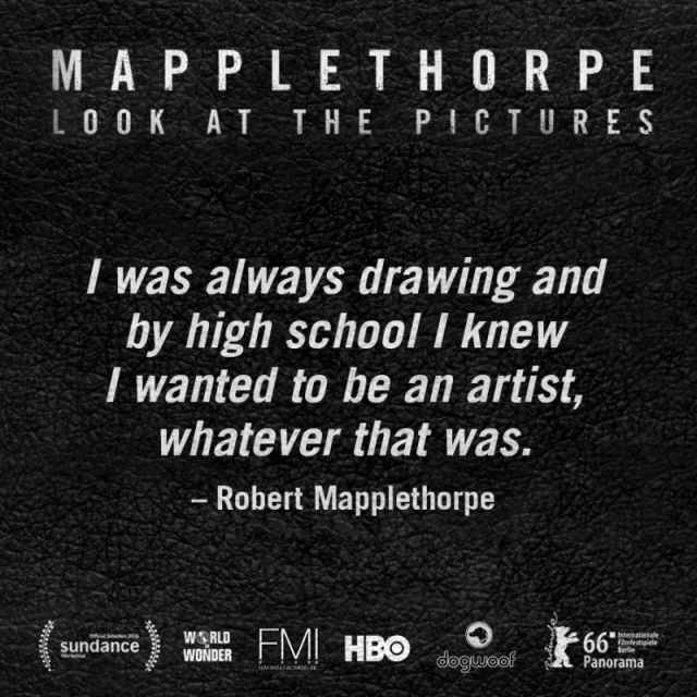 Mapplethorpe: Look at the Pictures  (2016)