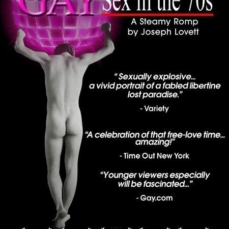 Gay Sex in the 70s  (2005)