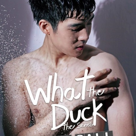 What The Duck 2: Final Call The Series  (2019)