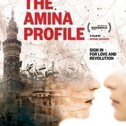 A Gay Girl in Damascus: The Amina Profile  (2015)