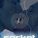 Socket  (2007)