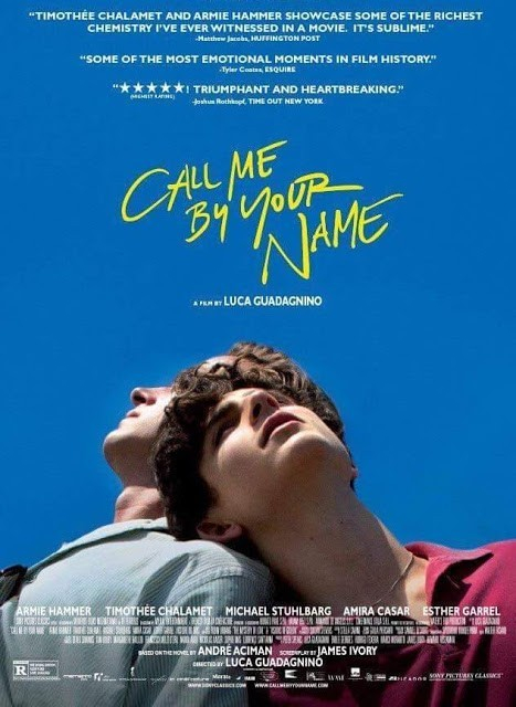 Call Me by Your Name / Říkej mi svým jménem / Dej mi své jméno  (2017)