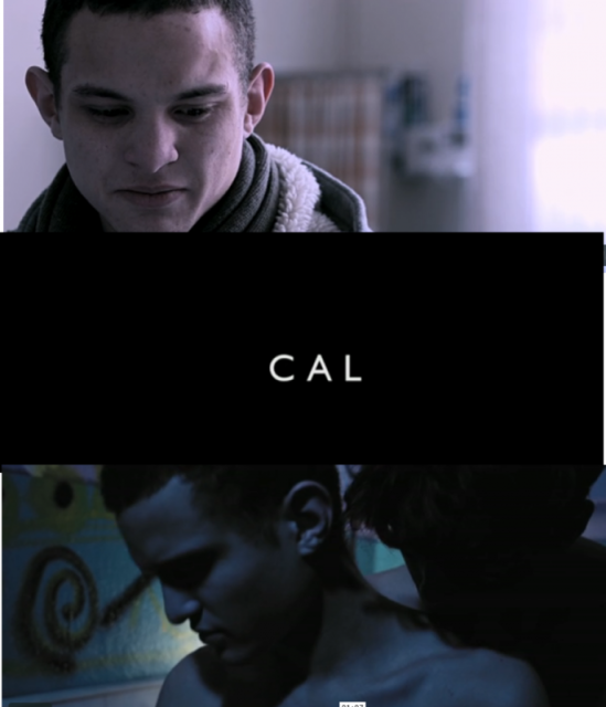 Cal  (2013)