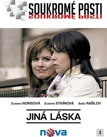 Soukromé pasti: Jiná láska  (2008)