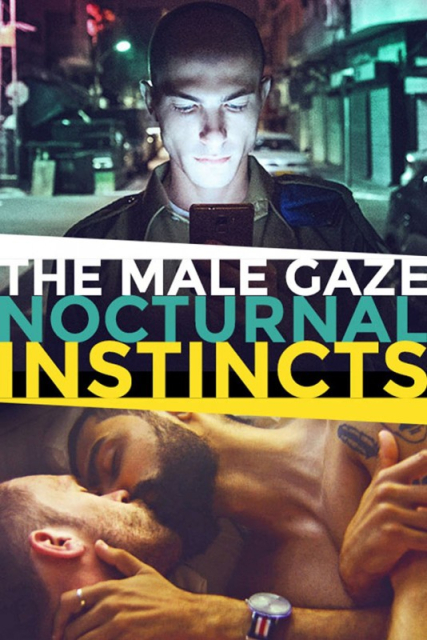 The Male Gaze: Nocturnal Instincts  (2021)