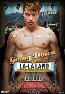 Going.Down.In.LaLa.Land.2011.LiMiTED.DVDRip.XviD-QaFoNE cz.srt