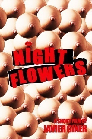 Night Flowers  (2012)