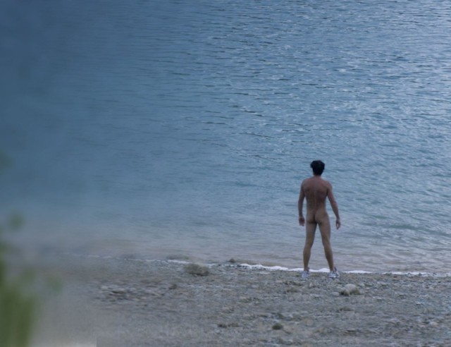 L&#039;inconnu du lac  (2013)