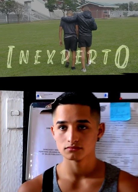 Inexperto  (2019)