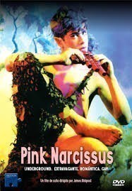 Pink Narcissus  (1971)