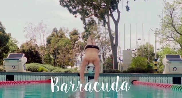 Barracuda  (2016)