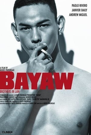 Bayaw / Brothers in Law  (2009)