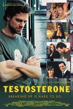 Testosterone.cz.srt