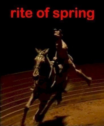 The Rite of Spring  (2000)