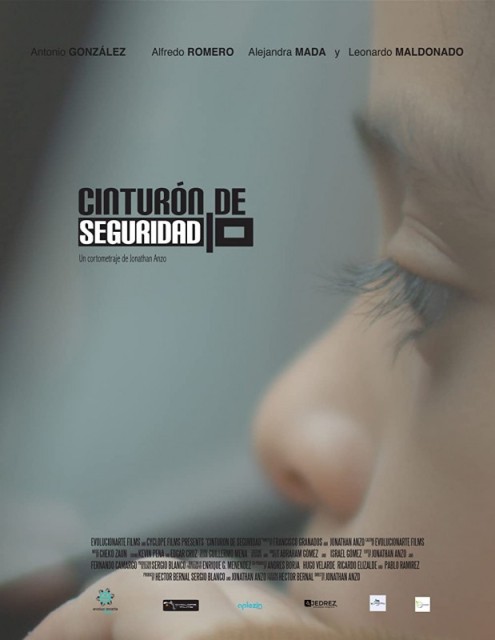 Cinturón de seguridad / Seat Belt  (2018)