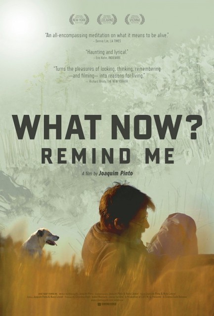 E agora? Lembra-me / What Now? Remind Me  (2013)