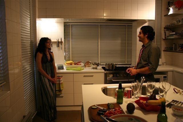 Housemates  (2009)