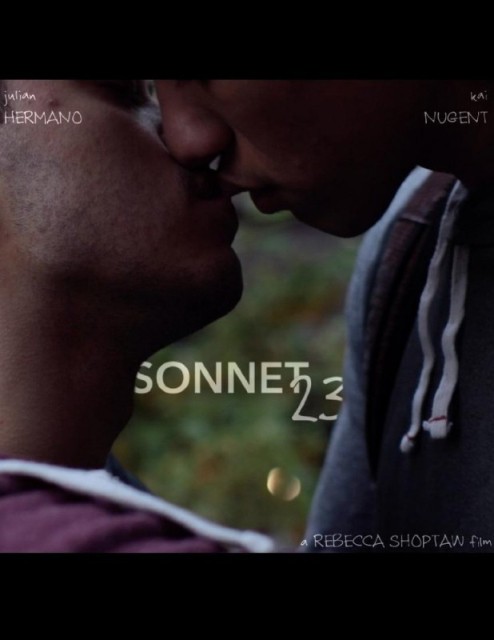 Sonnet 23  (2016)