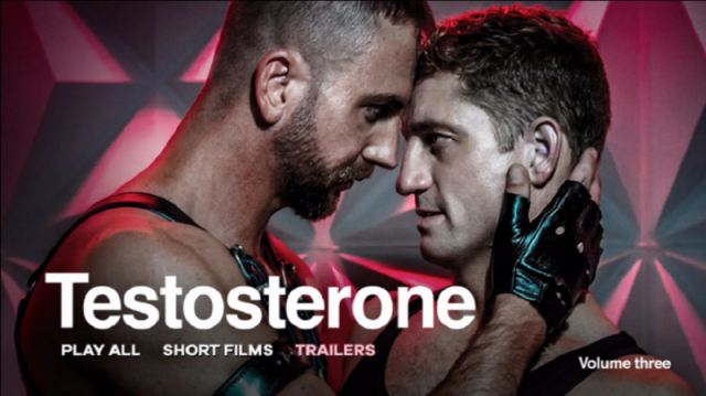 Testosterone: Volume 3  (2019)