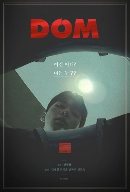 Dom  (2017)