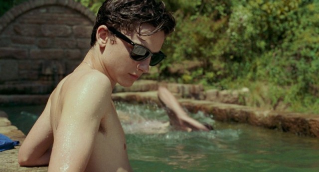 Call Me by Your Name / Říkej mi svým jménem / Dej mi své jméno  (2017)