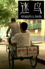 Mi Niao/Stragglers Birds