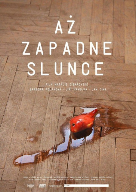 Až zapadne slunce / When The Sun Goes Down  (2014)