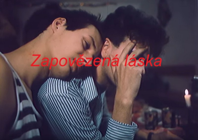 Zapovězená láska  (1990)